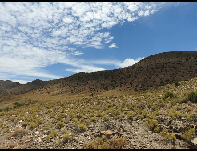 390HA FARM FOR SALE IN PRINCE ALBERT RURAL
